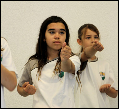 IMG_0092-copie-496x456